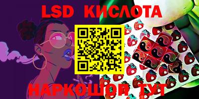 спайс Будённовск