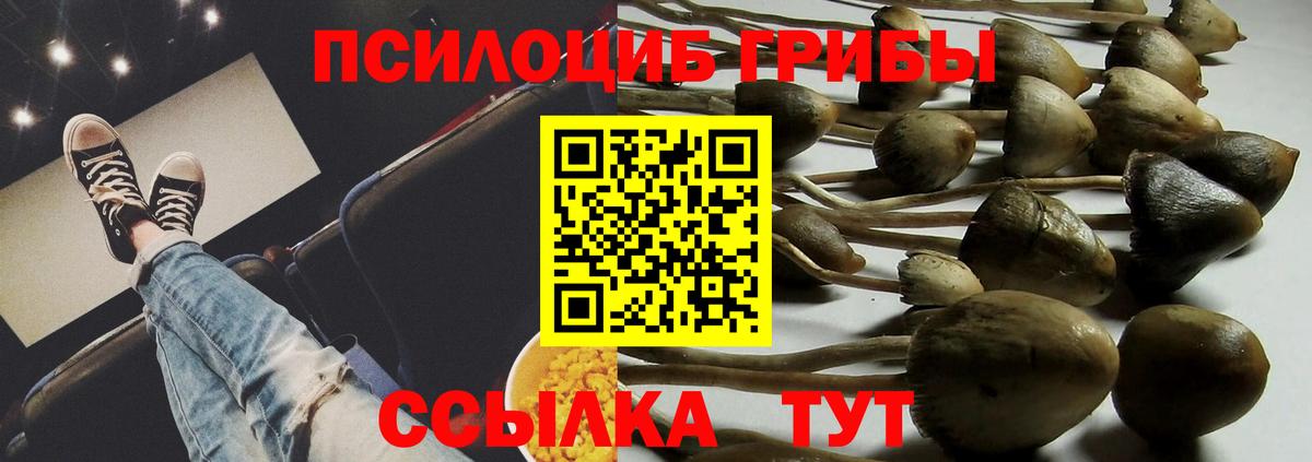 Галлюциногенные грибы MAGIC MUSHROOMS  Галлюциногенные грибы GOLDEN TEACHER  Лобня  Вход с VPN 