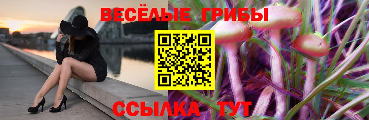Псилоцибиновые грибы мицелий Лобня